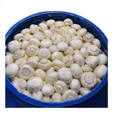 Toptan Çin En İyi Champignon Mantarı fıçılarda salamurada