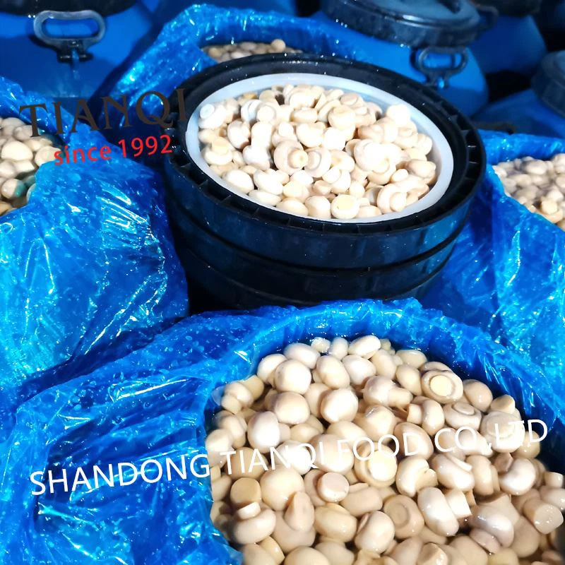 B mushroom in drums B mushroom in drums