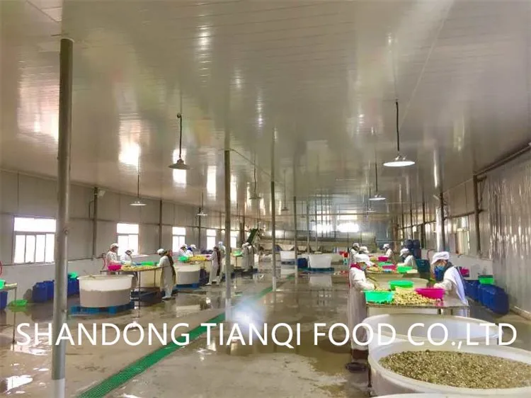 Hot selling high quality white mushroom in drums