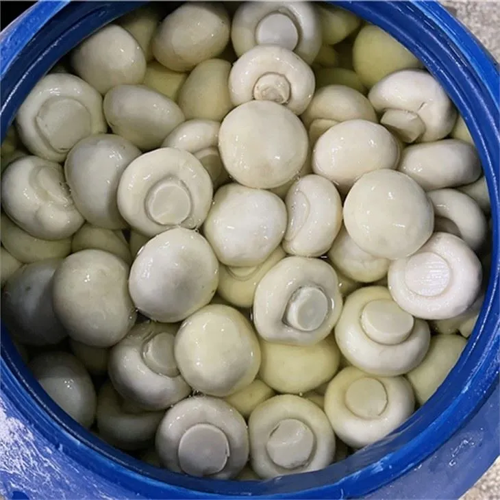 Tamburda Yeni Mahsul Salamura Mantar 50kg