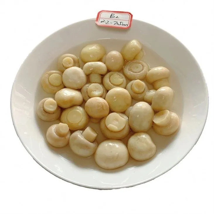 Whole champignon mushroom in salted water in plastic drums