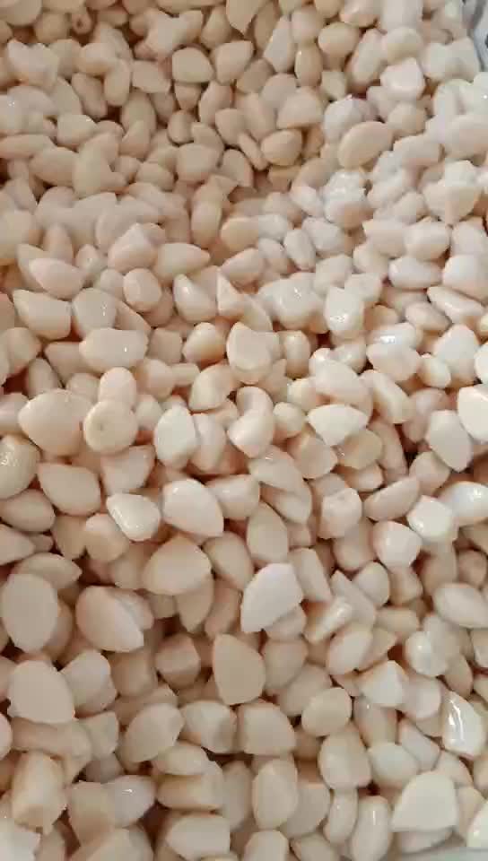 Salted peeled white garlic in drums