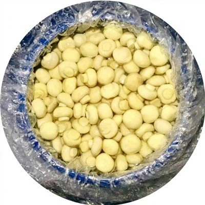 Salamura Düğme Mantarı