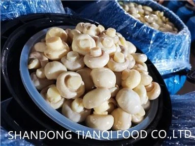 Plastik Varillerde Salamura Mantar