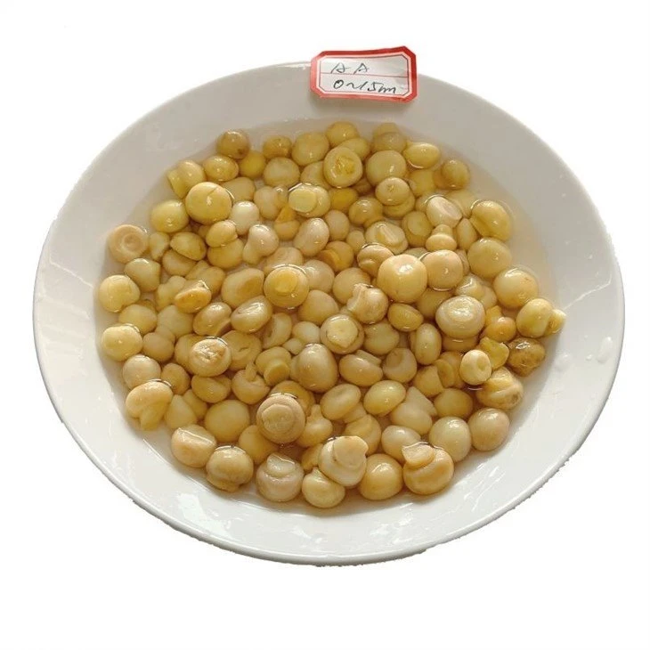 Pickled white mushroom in drums