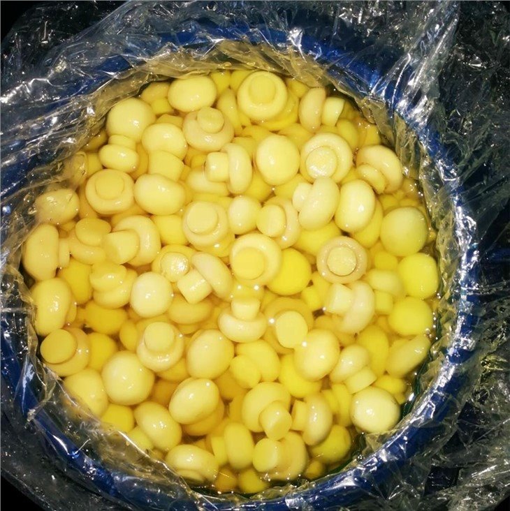 Whole white mushroom in SO2 in barrel