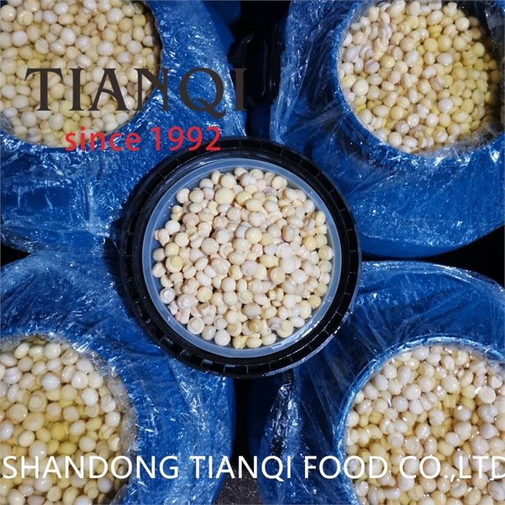 50kgs drum packing white mushroom in brine