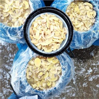 Satılık Davullarda Salamura Beyaz Champignon Mantarı