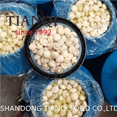 Varillerde SO2 İçinde Taze Korunmuş Beyaz Mantar