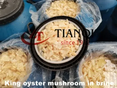 Yüksek Kalitede Varilde Salamurada Kral Olyster Mantarı